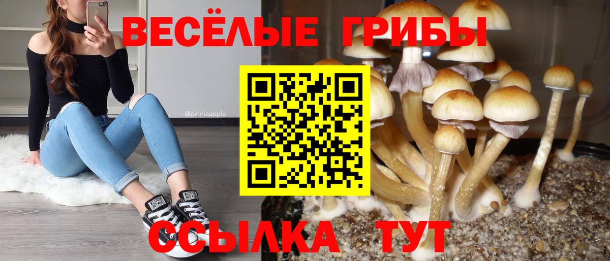 Галлюциногенные грибы ЛСД Северобайкальск