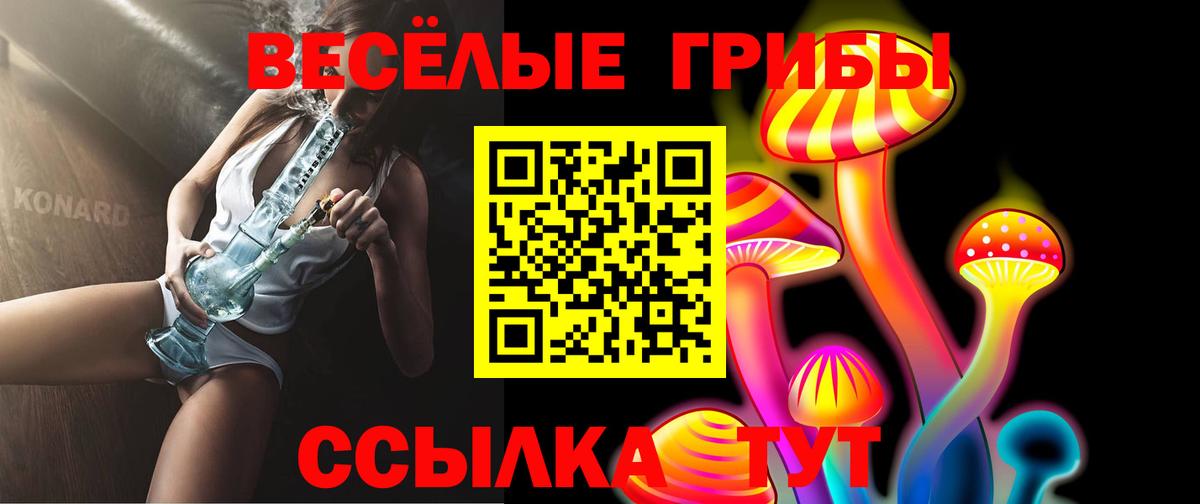 Галлюциногенные грибы Cubensis  Вход с VPN  Северобайкальск  Псилоцибиновые грибы MAGIC MUSHROOMS 